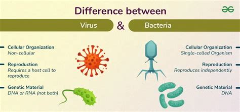 how are bacteria similar to and different from viruses